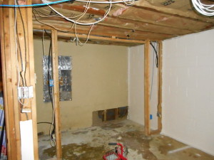 Basement Before