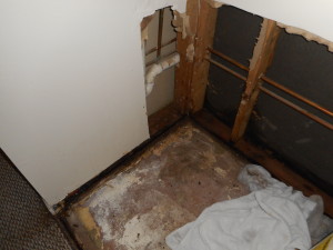 Waters  State Farm  Claim # 386V53514 012