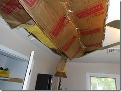 Mayer water damage 003