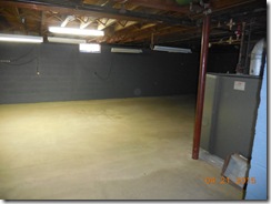 Brink water and mold after 001