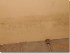 Brink water and mold before 002