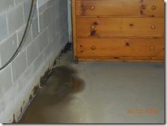 Brink water and mold before 012