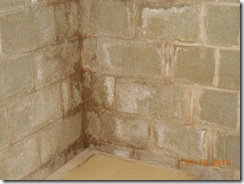 Brink water and mold before 013