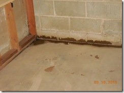 Brink water and mold before 014