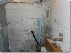 Willhelm  water damage 005