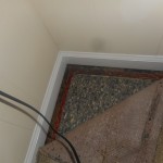 Westall 011