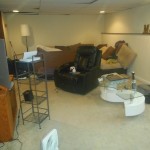 Westall 016