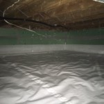 IMG_0554