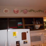 DSCN1764